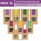 Plantes Médicinales BIO - Pack d'Implantation XL