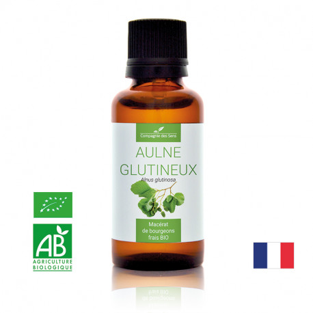AULNE GLUTINEUX - Macérat de bourgeons BIO