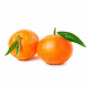 MANDARINE ROUGE - Huile essentielle BIO